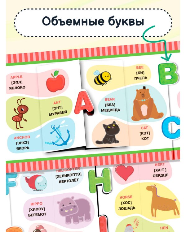 Мой первый английский. Чудо-книжка с объемными картинками