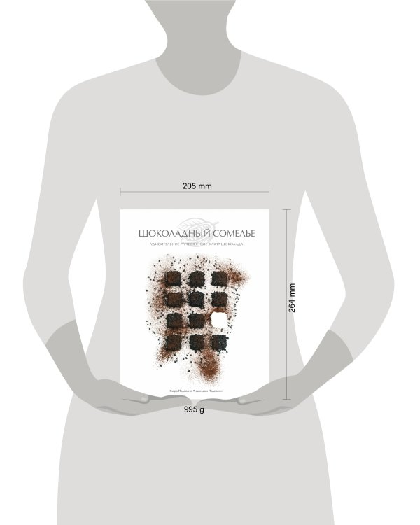 Шоколадный сомелье. Удивительное путешествие в мир шоколада