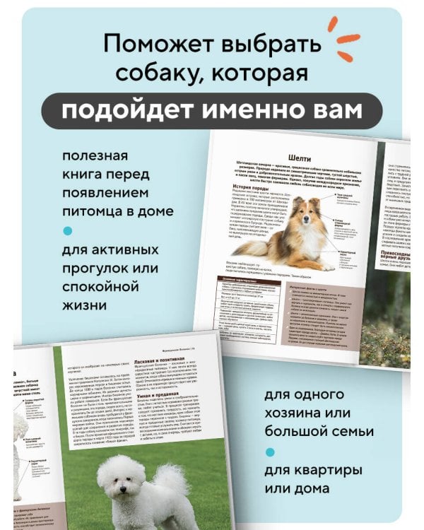Все породы собак. Большая иллюстрированная энциклопедия