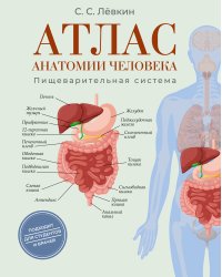 Атлас анатомии человека. Пищеварительная система