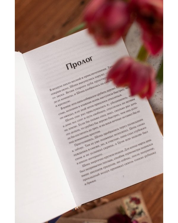 Книжная деревушка в Шотландии. Весна перемен