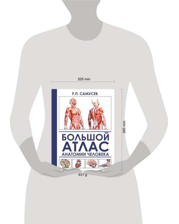 Большой атлас анатомии человека