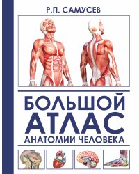 Большой атлас анатомии человека
