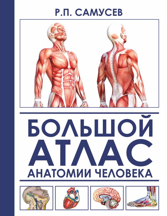 Большой атлас анатомии человека