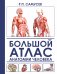 Большой атлас анатомии человека