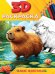 3D РАСКРАСКА. Дикие животные