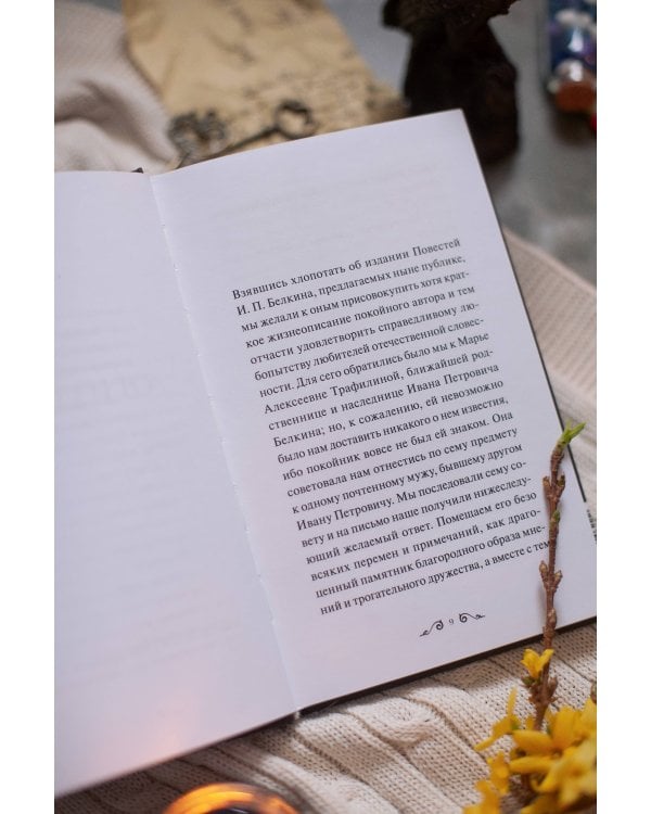 Повести Белкина. Вечные истории. Young Adult