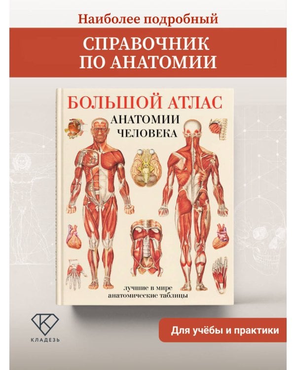 Дополнительное изображение книги «Большой атлас анатомии человека»