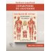 Дополнительное изображение книги «Большой атлас анатомии человека»