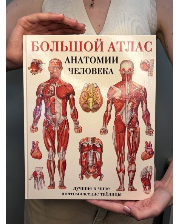 Большой атлас анатомии человека