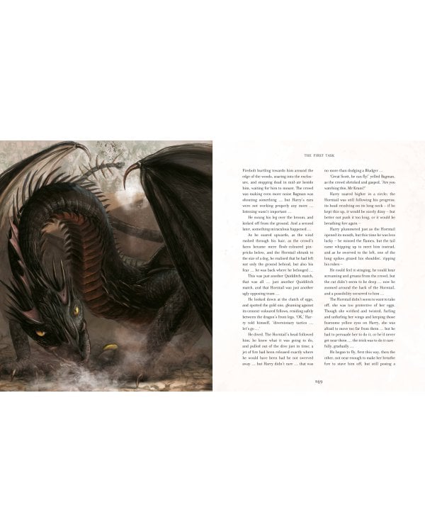 Harry Potter and the Goblet of Fire Illustrated Edition