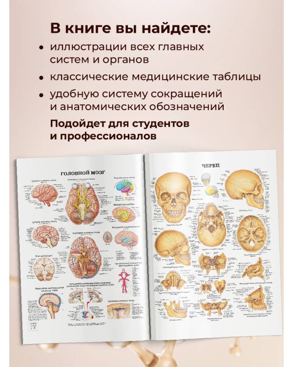Большой атлас анатомии человека