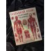Атлас анатомии человека в таблицах Большой атлас анатомии человека
