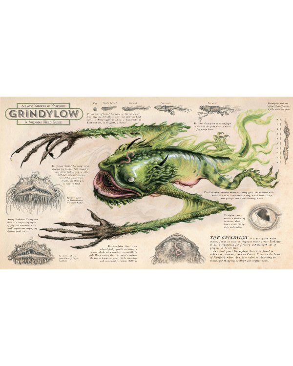 Harry Potter and the Prisoner of Azkaban Illustrated Edition J.K. Rowling Гарри Поттер и узник Азкабана Д.К. Роулинг / Книги на английском языке