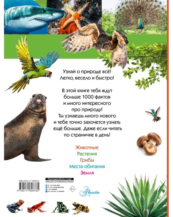 100 тысяч почему на каждый день. Природа