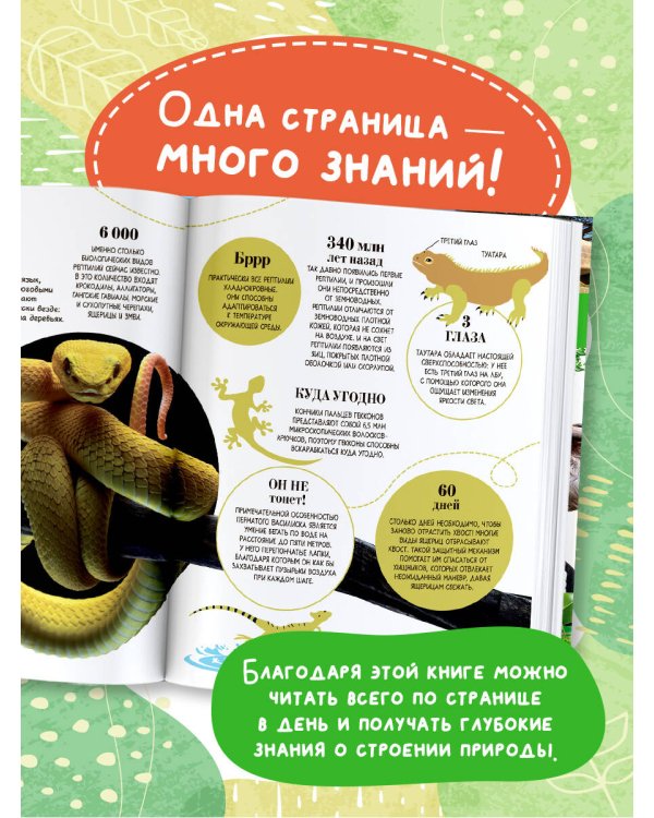 100 тысяч почему на каждый день. Природа