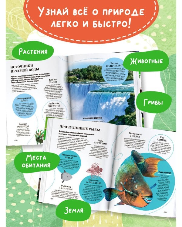 100 тысяч почему на каждый день. Природа