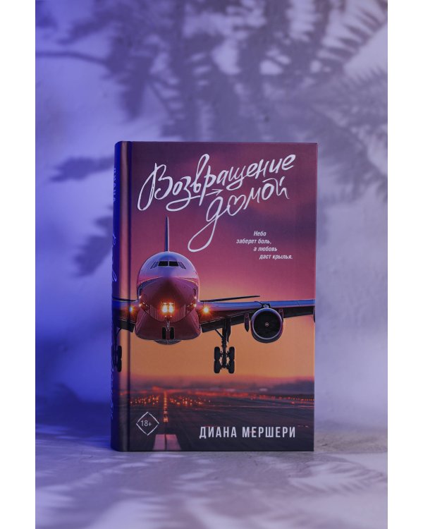 Возвращение домой