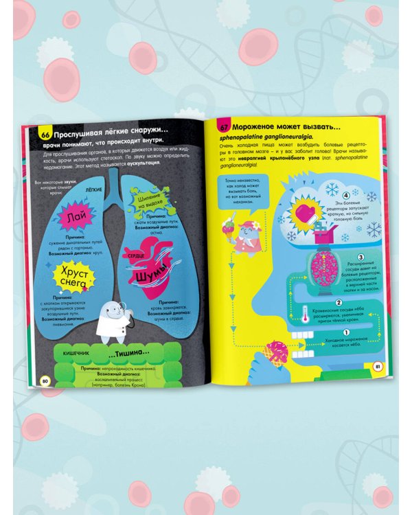 Тело человека