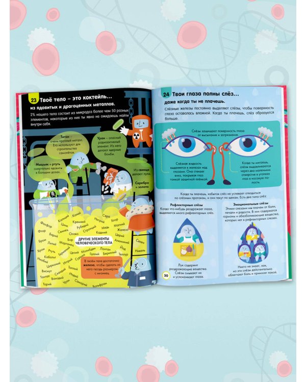 Тело человека