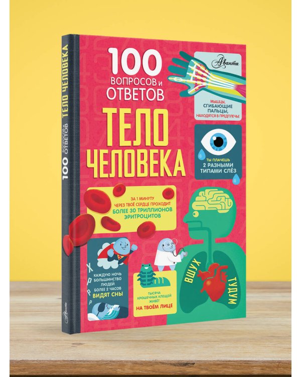 Тело человека