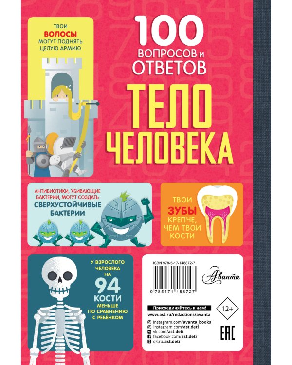 Тело человека