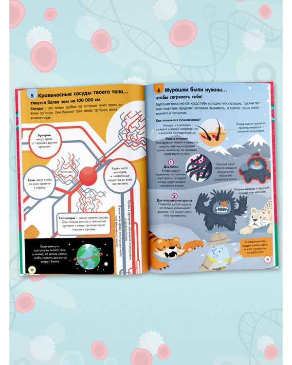 Тело человека