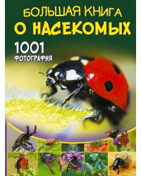 Большая книга о насекомых. 1001 фотография