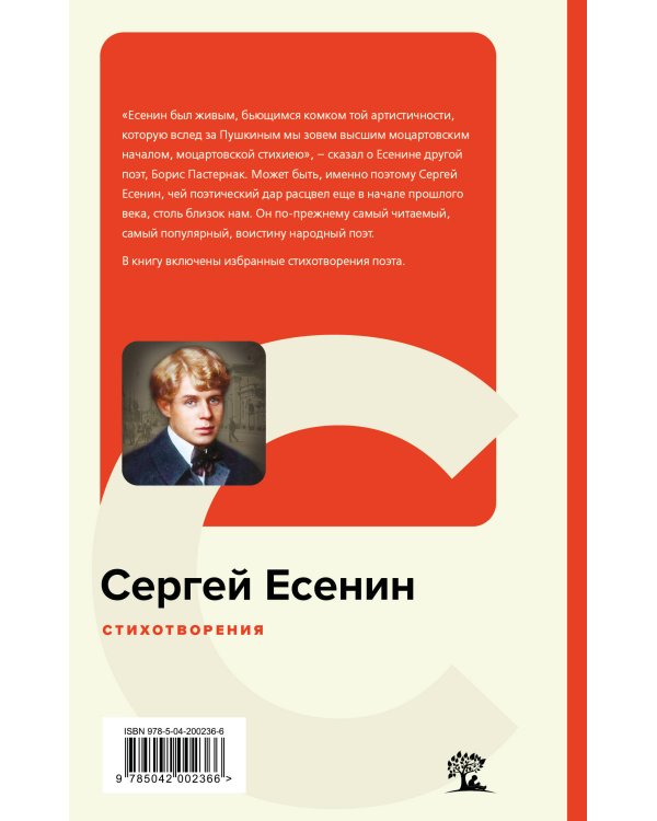 Стихотворения