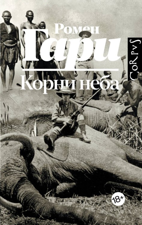 Корни неба Корни неба