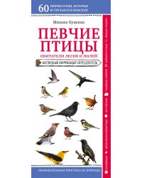 Певчие птицы. Обитатели лесов и полей