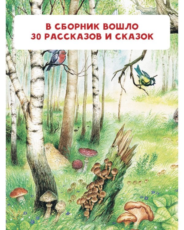 Маленькие сказки и рассказы