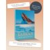 Большой путеводитель по городам и времени Байкал. Уникальная Россия