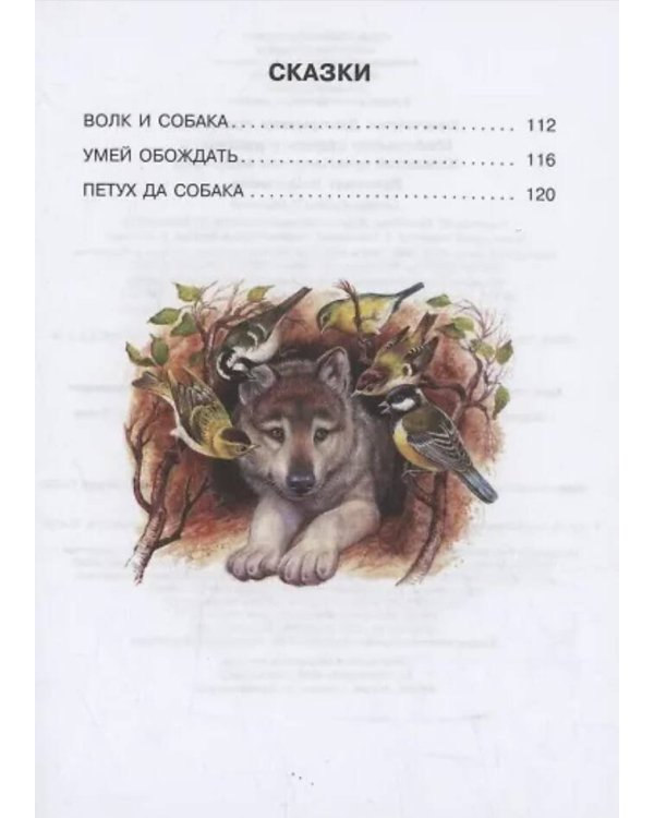 Дополнительное изображение книги «Маленькие сказки и рассказы»