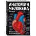 Анатомия человека: компактный атлас-раскраска