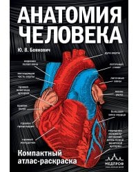 Анатомия человека: компактный атлас-раскраска