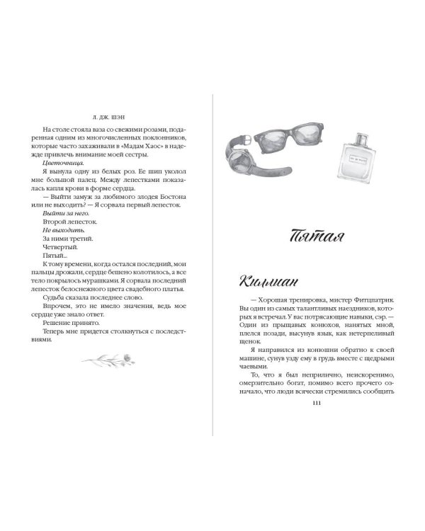 Красавицы Бостона. Злодей (#2)