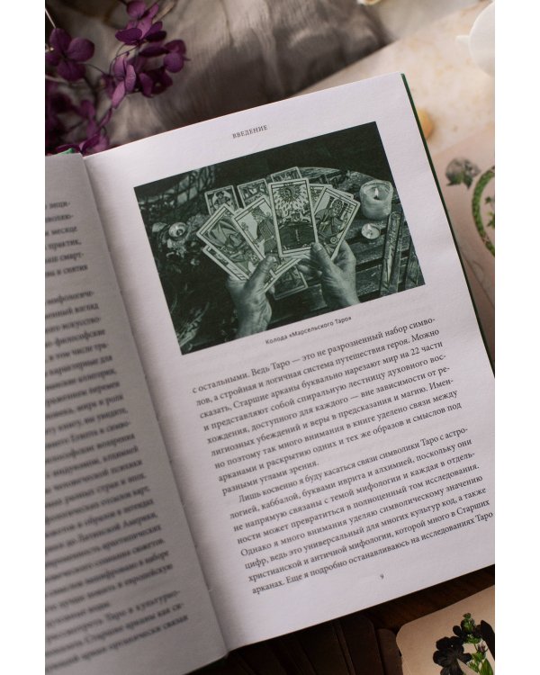 Дополнительное изображение книги «Мифы Таро. От египетских жрецов и мистики Ренессанса до карнавальной культуры и танцев шута»