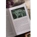 Дополнительное изображение книги «Мифы Таро. От египетских жрецов и мистики Ренессанса до карнавальной культуры и танцев шута»