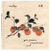 Словарь для записи китайских слов (15х15 см) (Хурма)