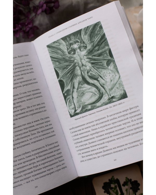 Дополнительное изображение книги «Мифы Таро. От египетских жрецов и мистики Ренессанса до карнавальной культуры и танцев шута»