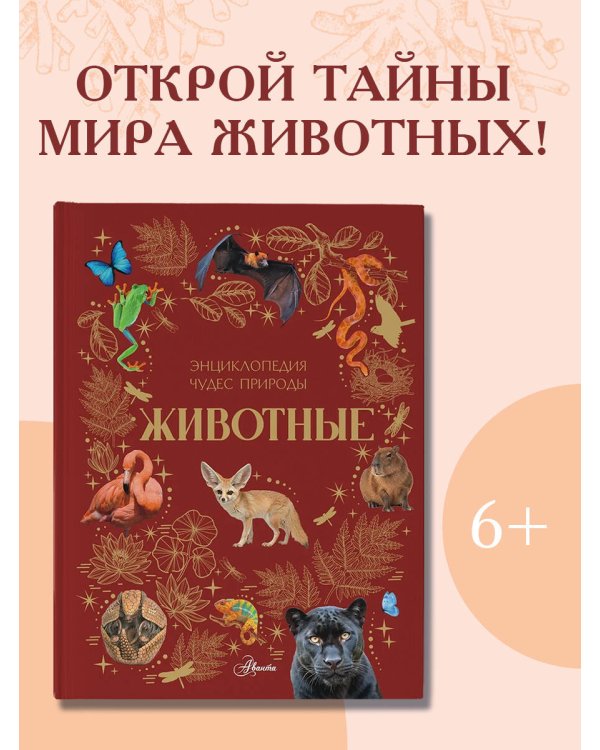 Животные