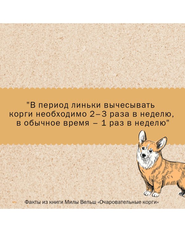 Очаровательные корги: походка, которая вдохновляет! Раскраски антистресс