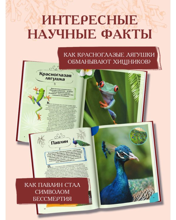 Животные