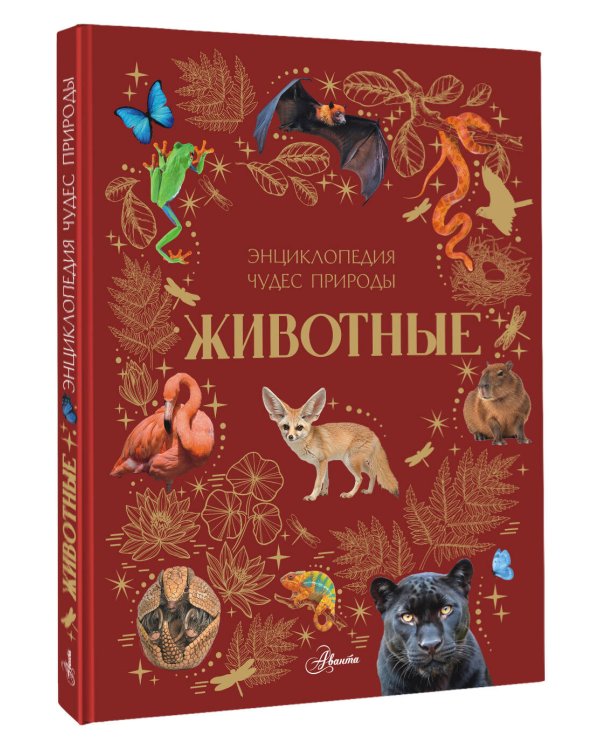 Животные