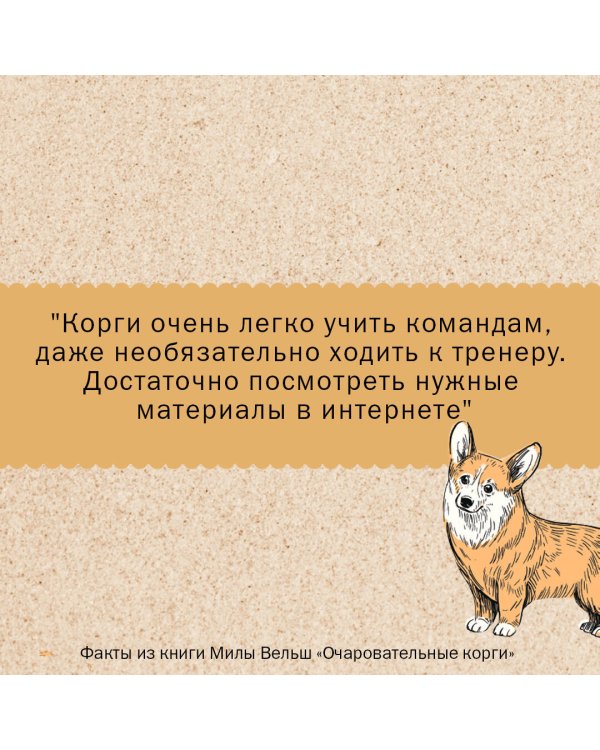 Очаровательные корги: походка, которая вдохновляет! Раскраски антистресс