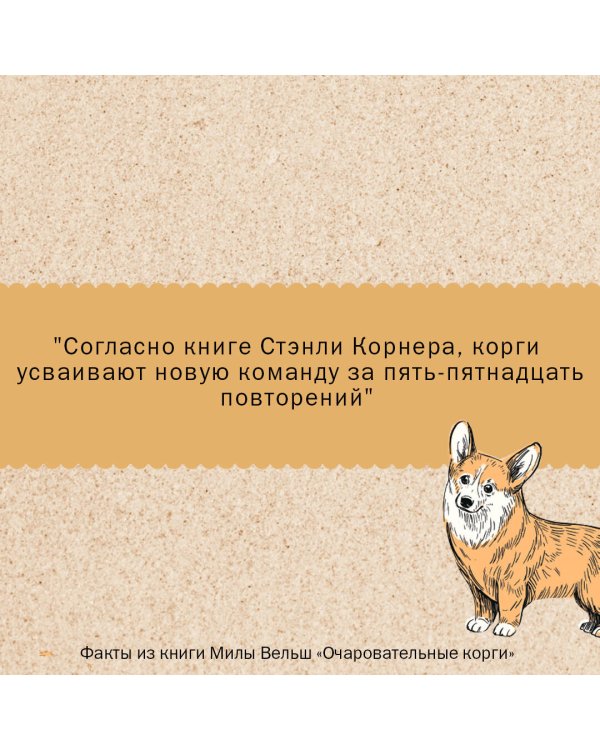 Очаровательные корги: походка, которая вдохновляет! Раскраски антистресс