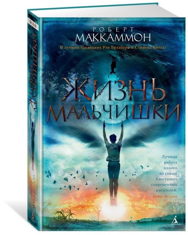 Жизнь мальчишки