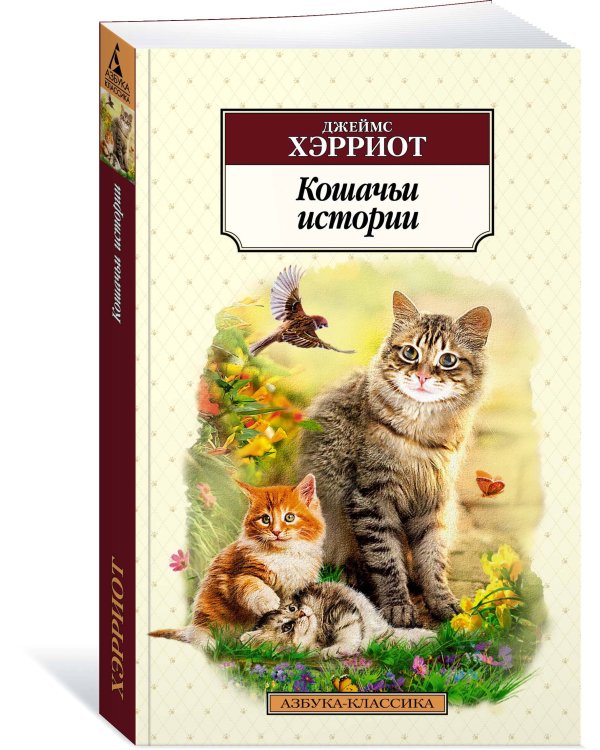 Кошачьи истории