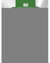 ОГЭ-2025. Русский язык. Тренировочные варианты. 30 вариантов